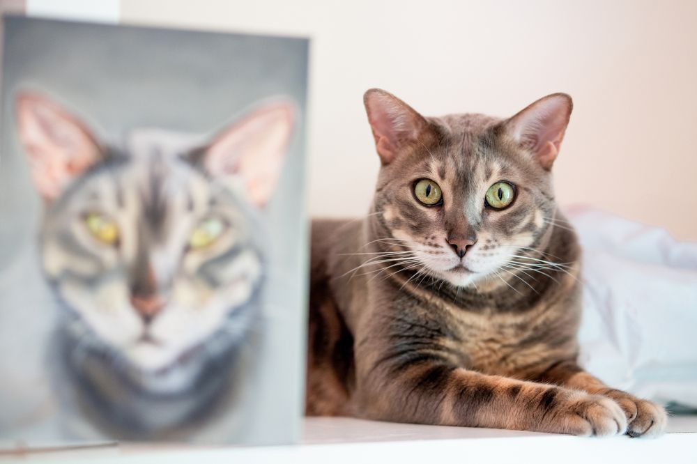 Photograph by Анна Куманцова