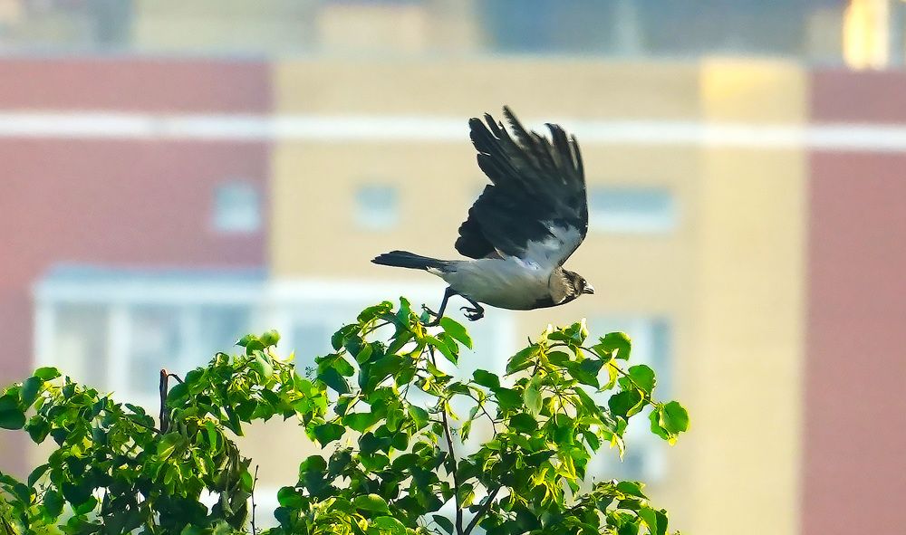 Photograph by Михаил Трусов