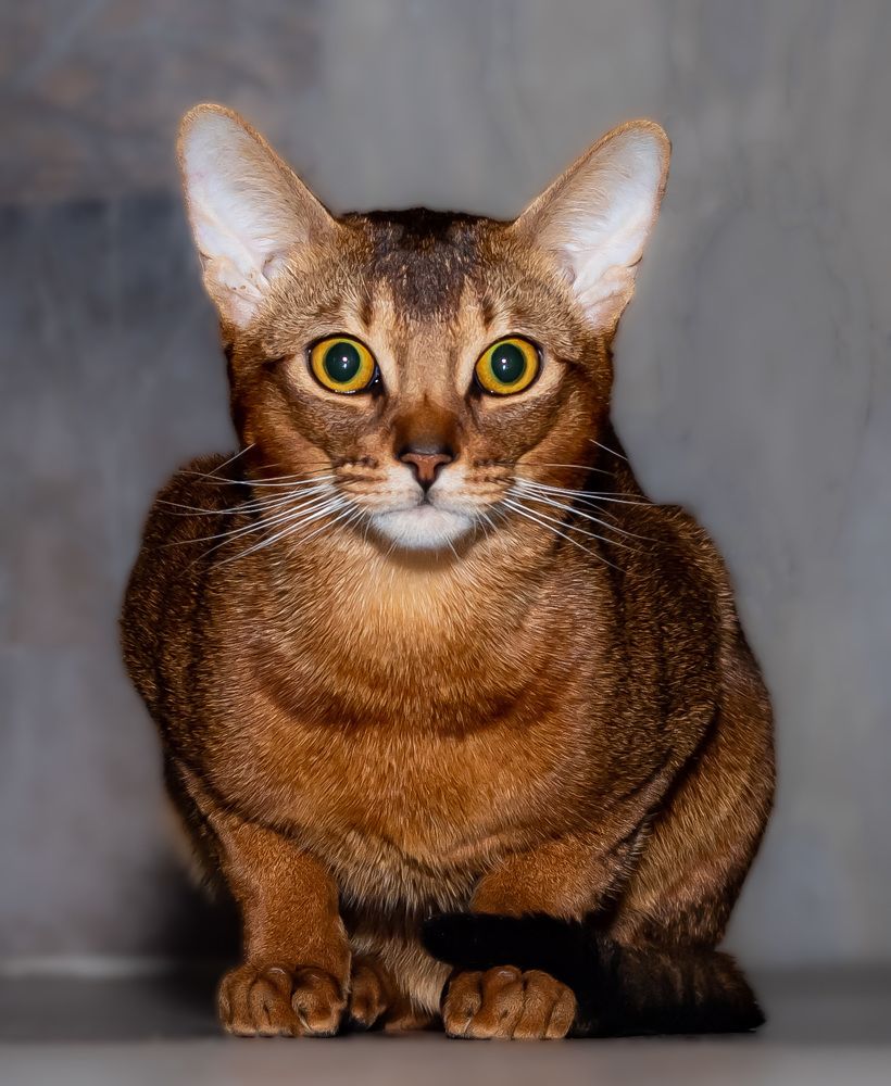 Photograph by Алексей Бирин