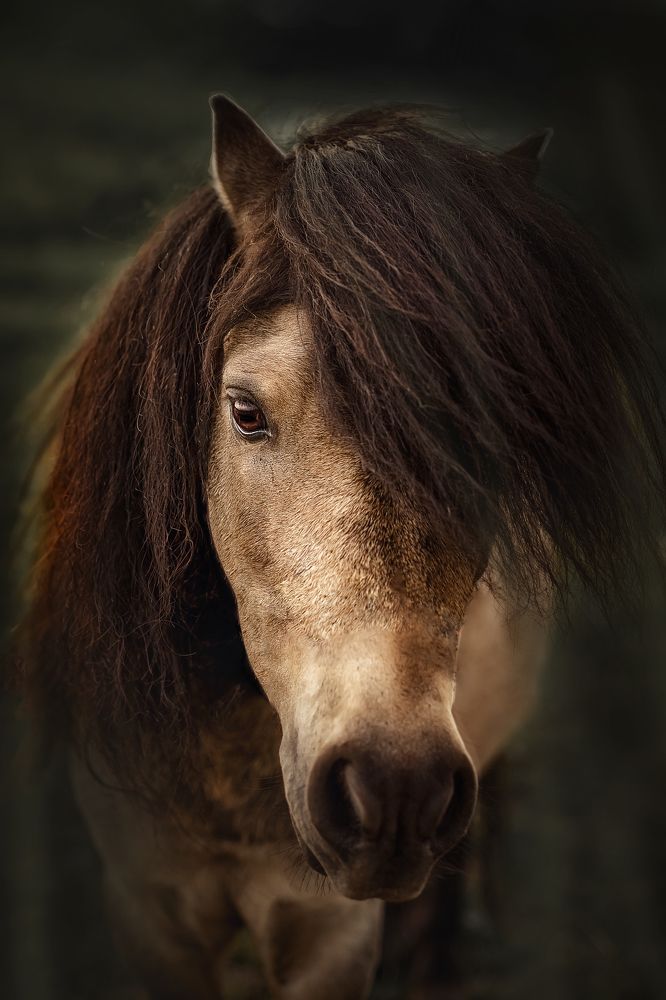 Фотография автора Рымакова Арина