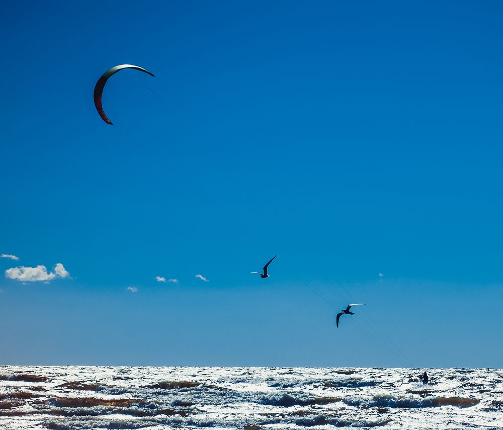 Фотография автора Олег Анатольевич Загорулько
