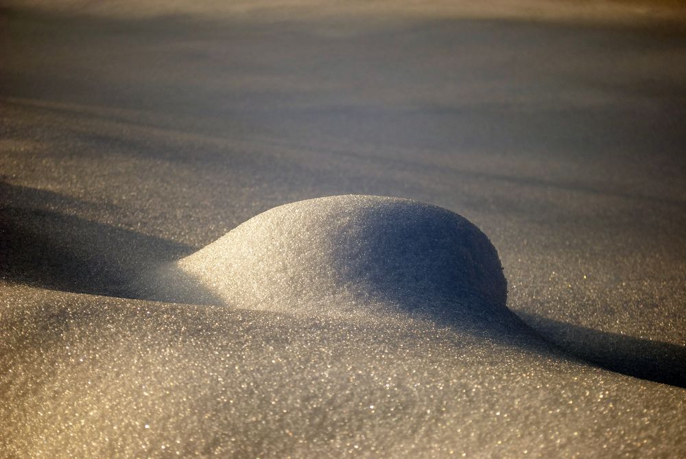 Photograph by Любовь Бусова