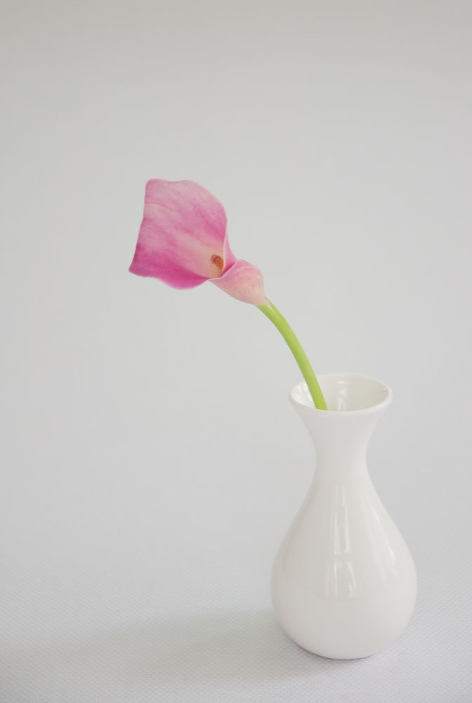 Фотография автора Олег Анатольевич Загорулько