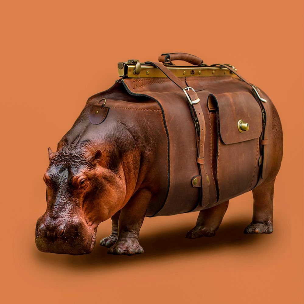 Photograph by  SaidArt