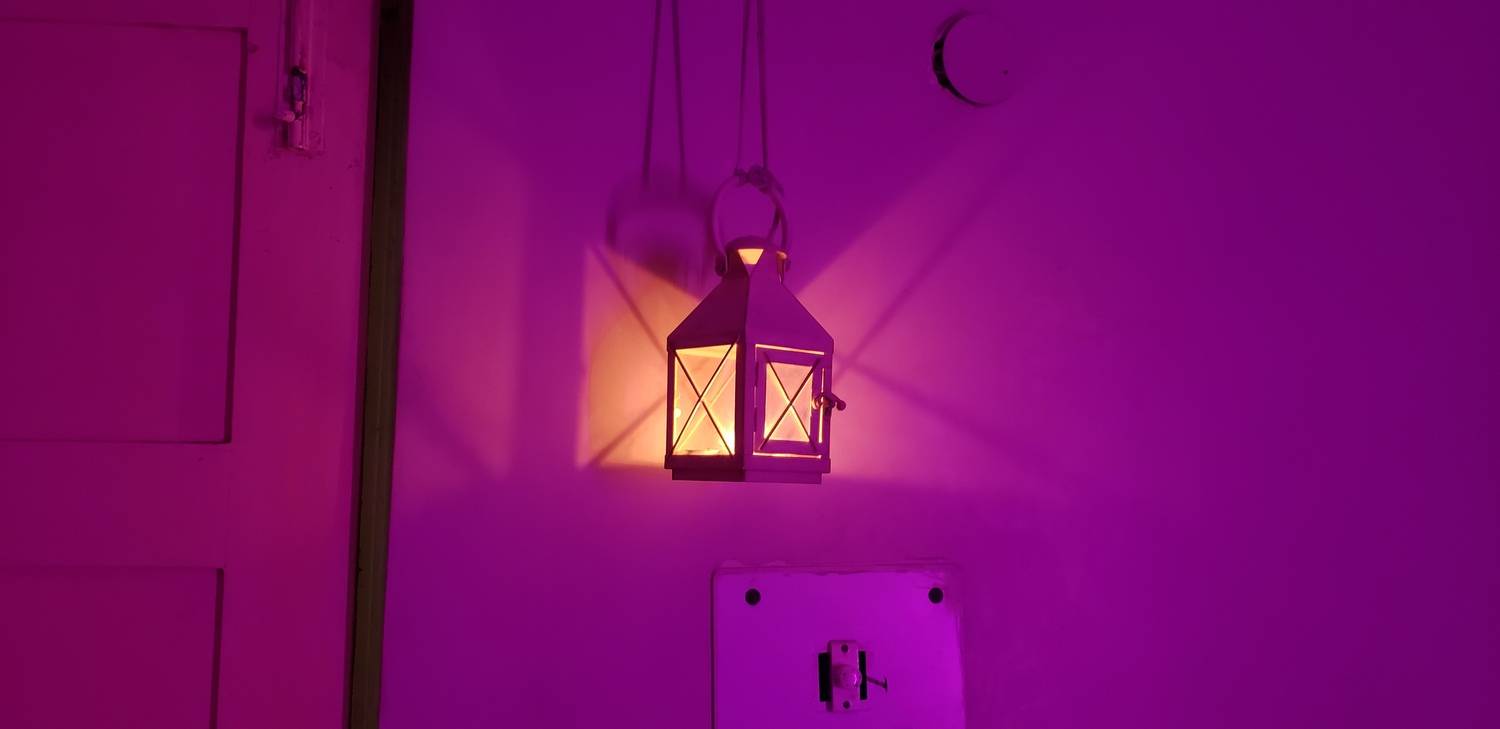 Photo #11660563