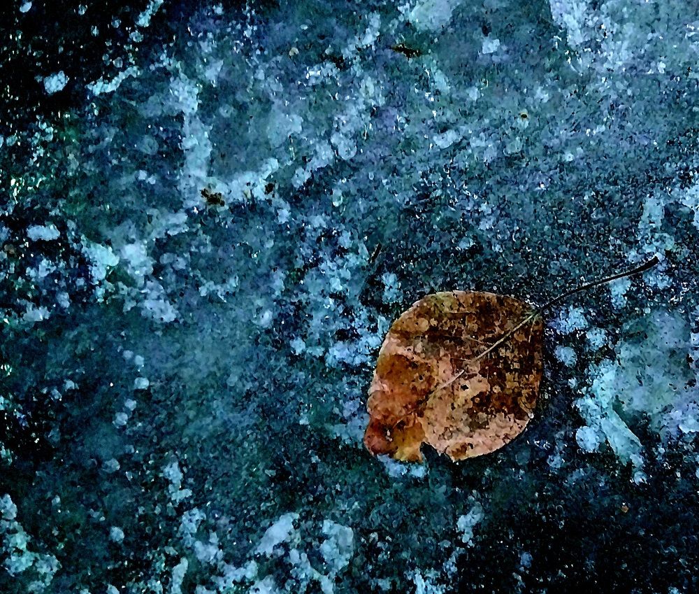 Photograph by Оксана Шарагина