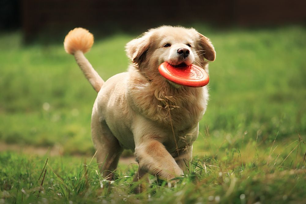 Photograph by Дарья Ералева