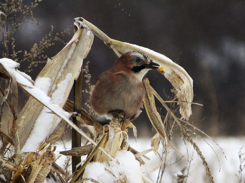 Photograph by Лариса Басова