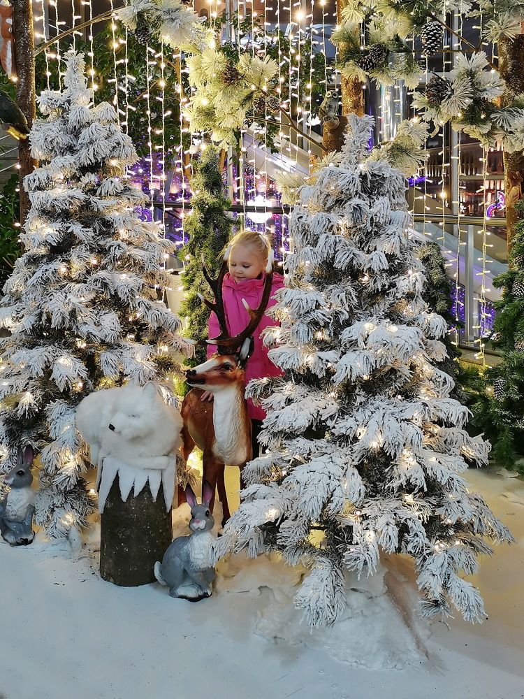 Фотография автора Анатолий Дауров