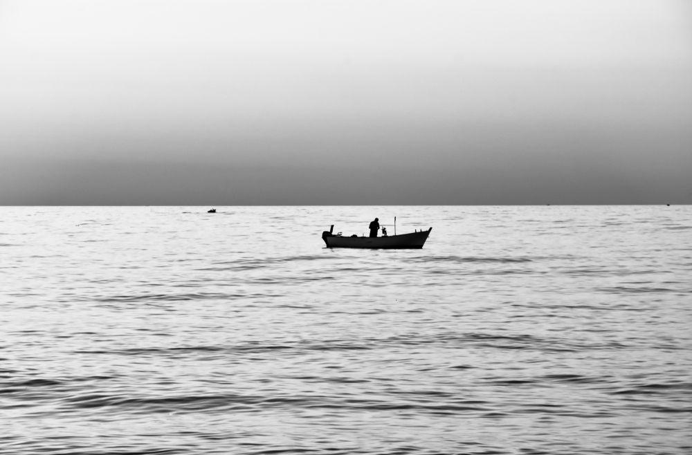 Photograph by Teresa Molinaro