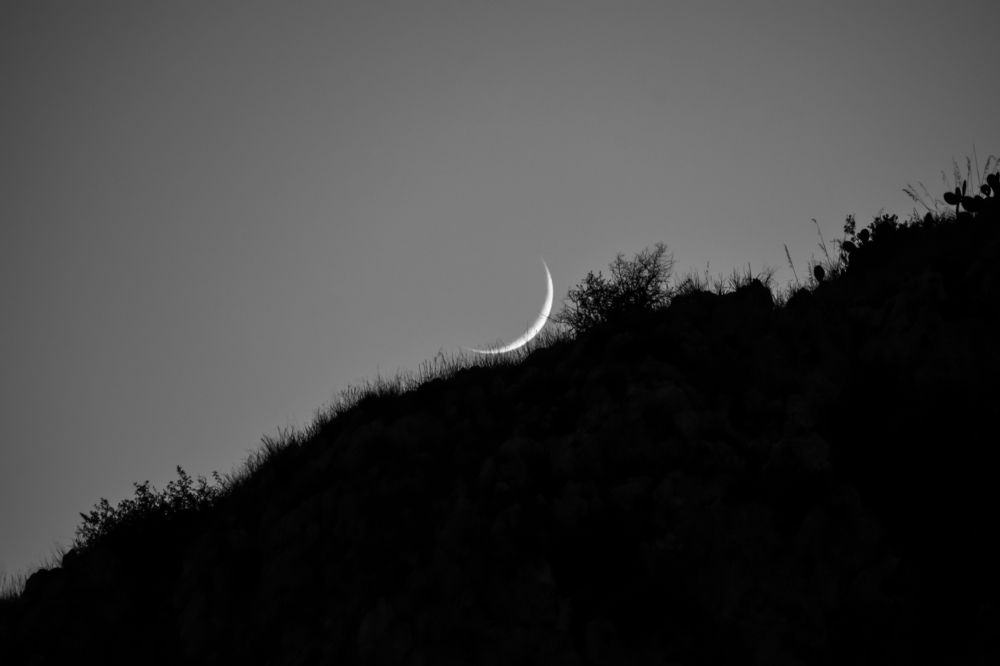 Photograph by Teresa Molinaro