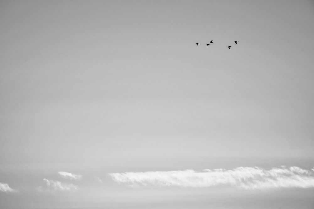 Photograph by Teresa Molinaro