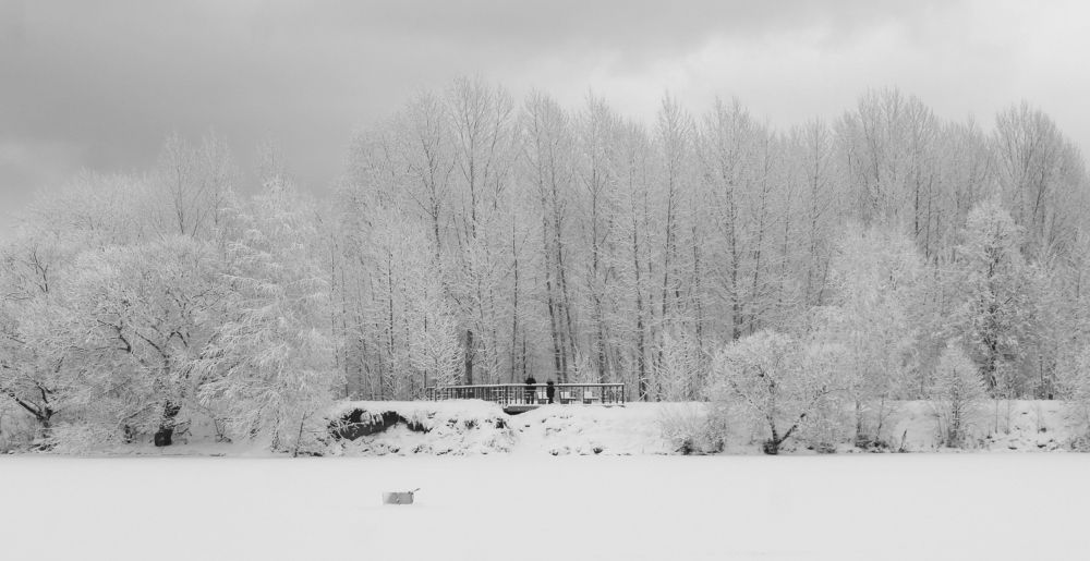 Photograph by Жанна Нечаева