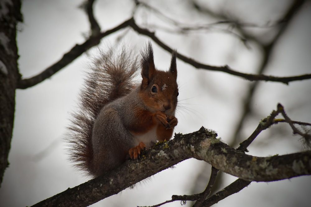 Photograph by Ljudmilla Pavljutsenkova