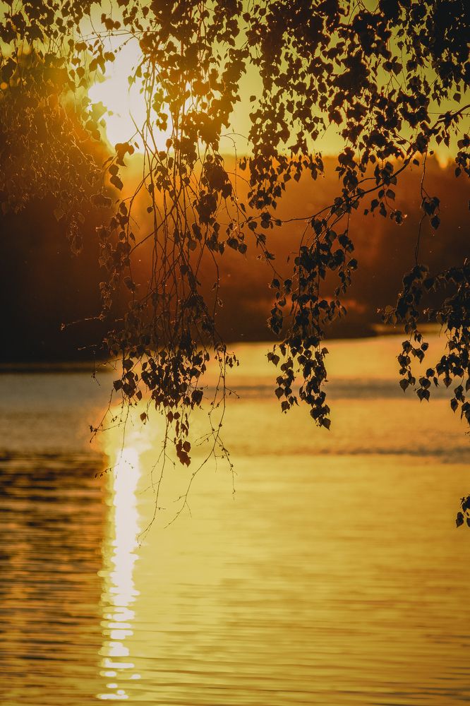 Photograph by Иван Федоров