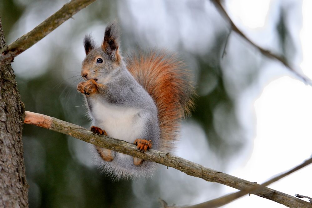 Photograph by Александр Зуев