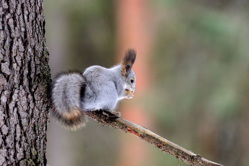 Photograph by Александр Зуев