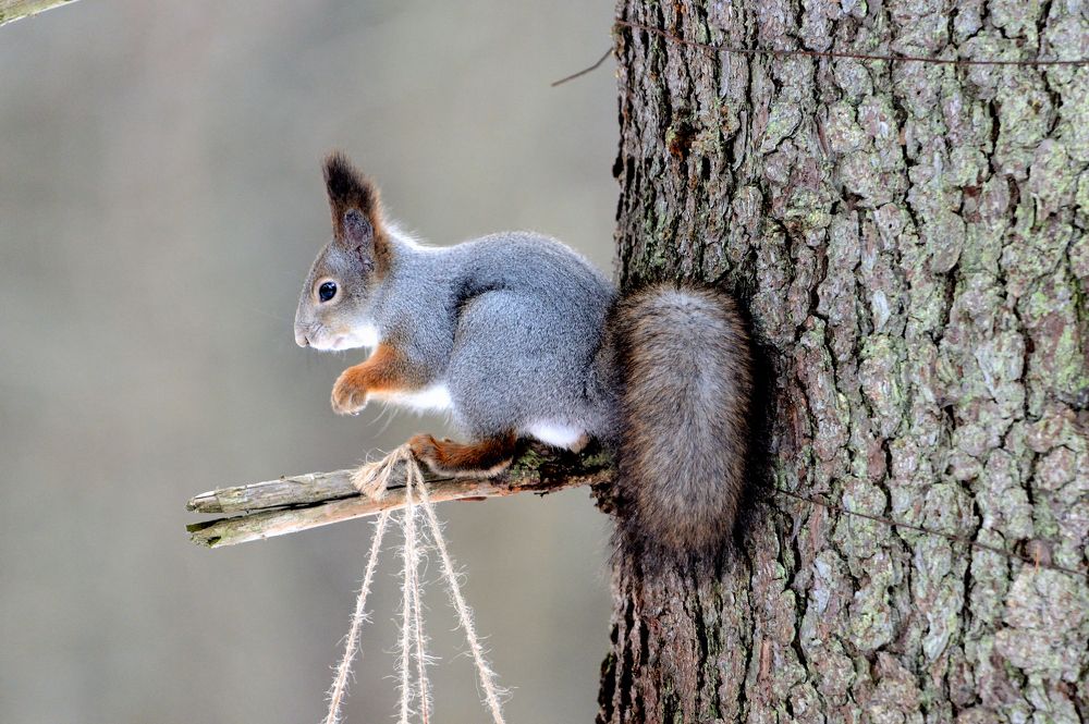 Photograph by Александр Зуев