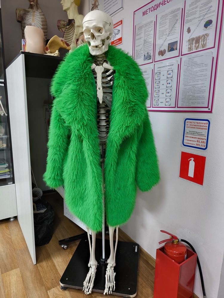 Фотография автора Юлия Лубкина