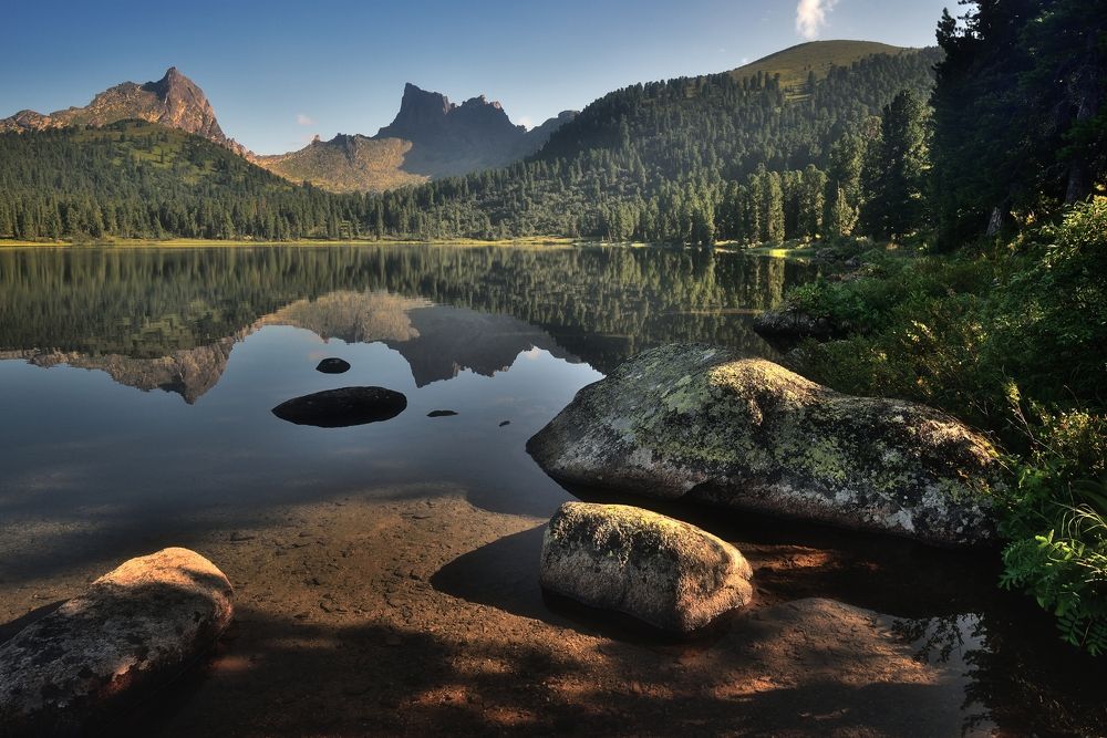 Утренний свет