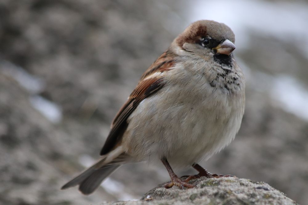 Photograph by Елена Иванкина