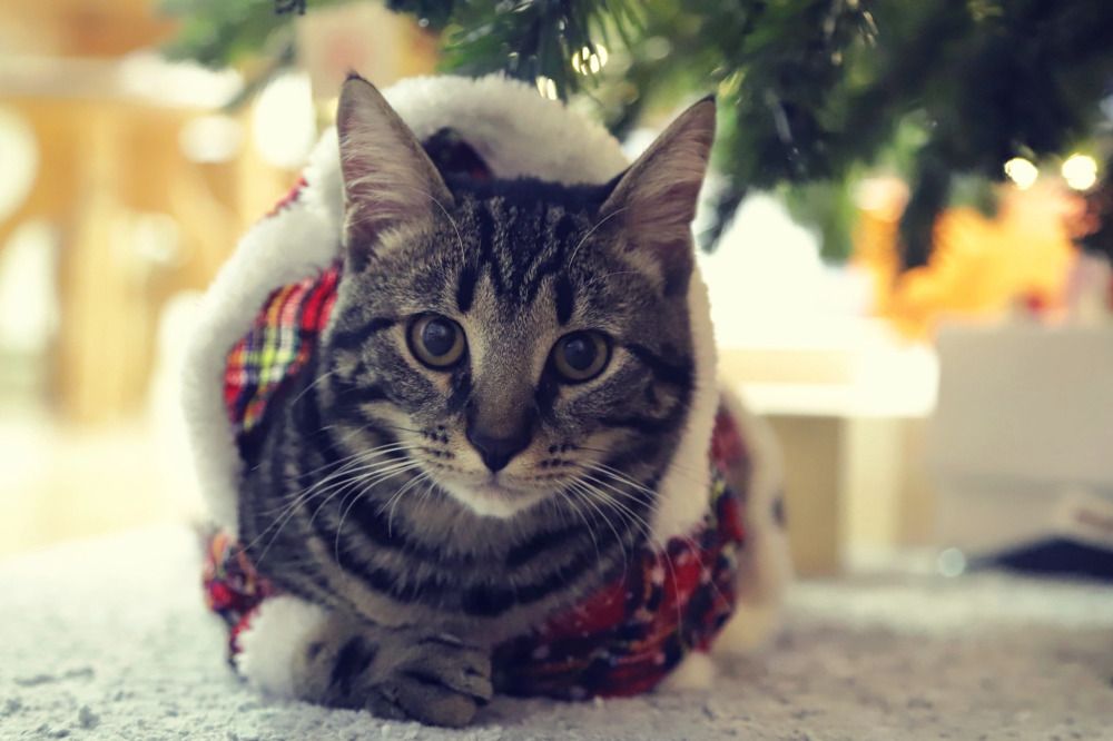 Photograph by Мария Андреева