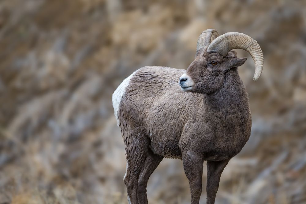 Photograph by Tony Douzenis