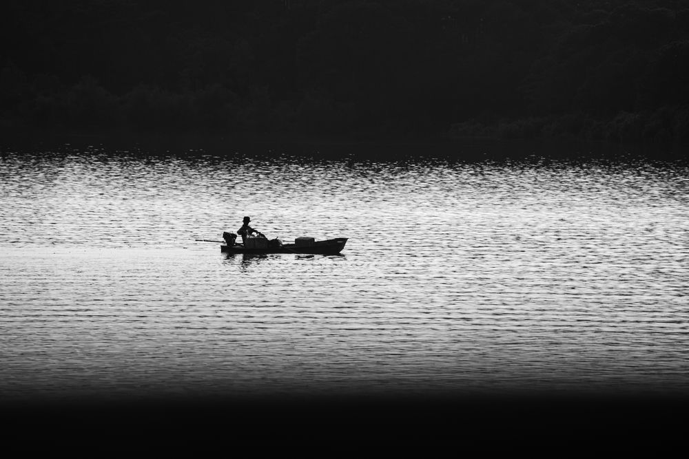 Фотография автора Phuong Thoa Vuong Thi