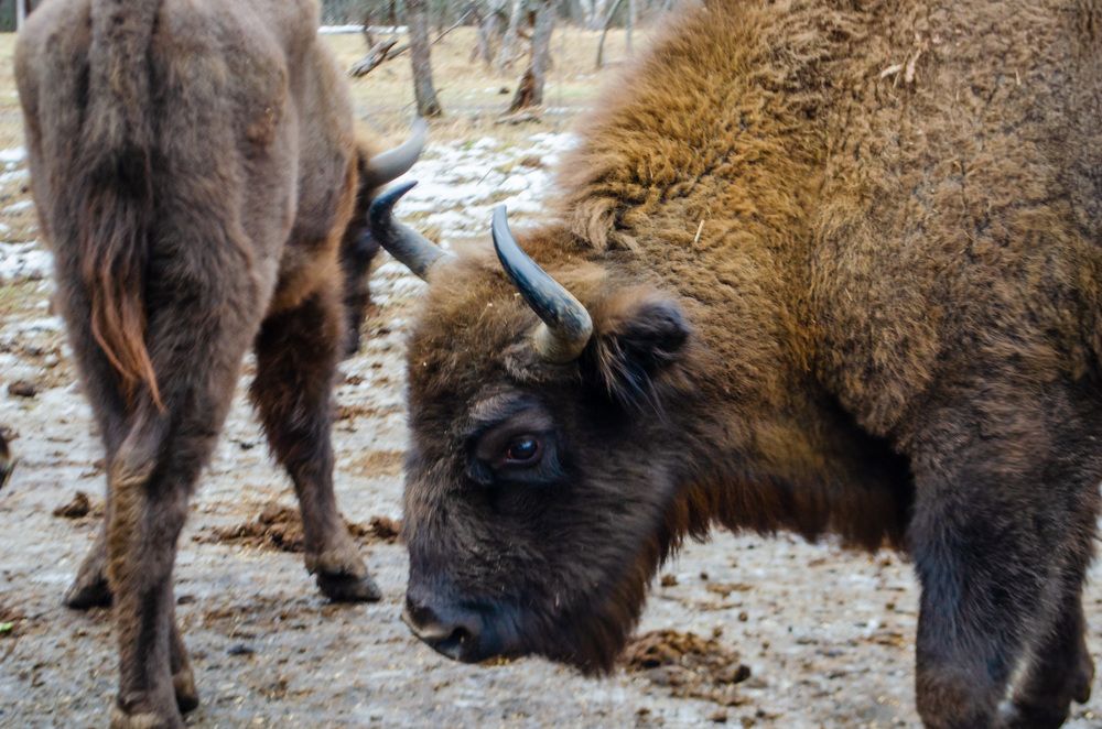 Photograph by Галина