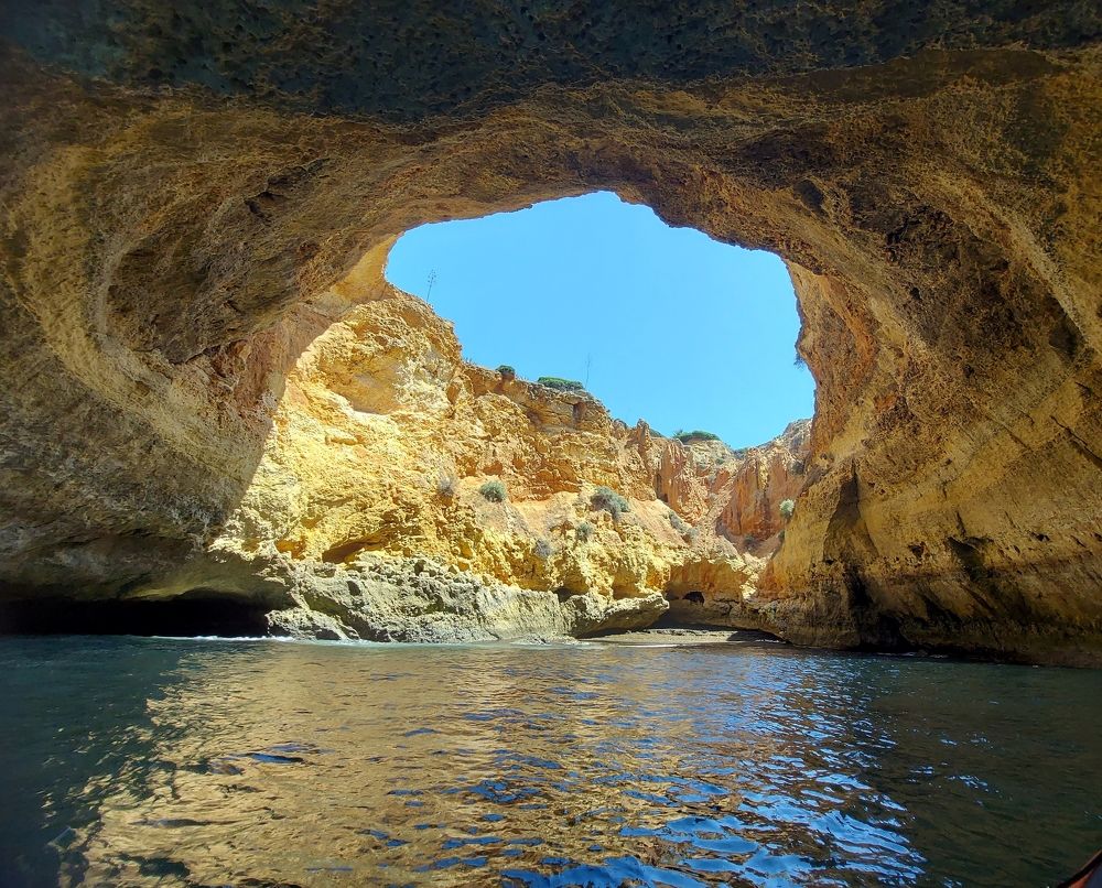 Photograph by Rosane Cortez