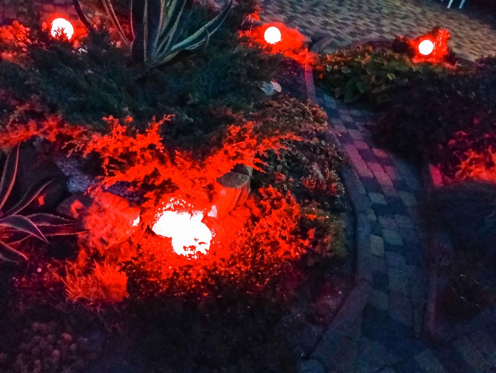 Photograph by Александр Редько