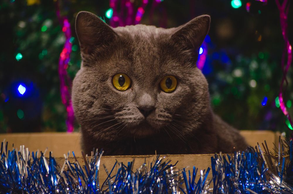 Photograph by Татьяна Герасимцева