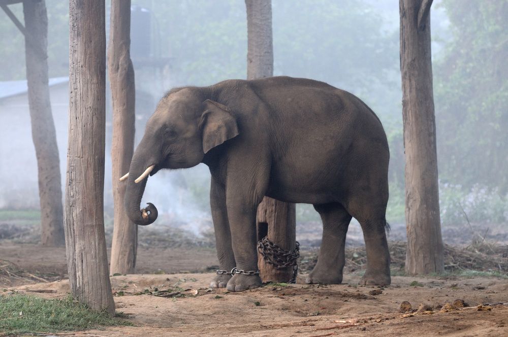 Фотография автора Сергей Сынтин