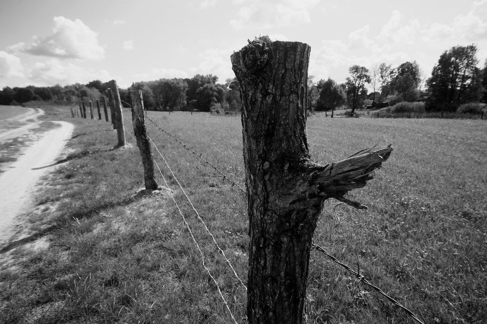 Фотография автора Геннадий Титов