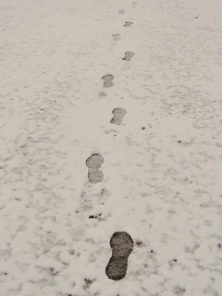 Следы на снегу