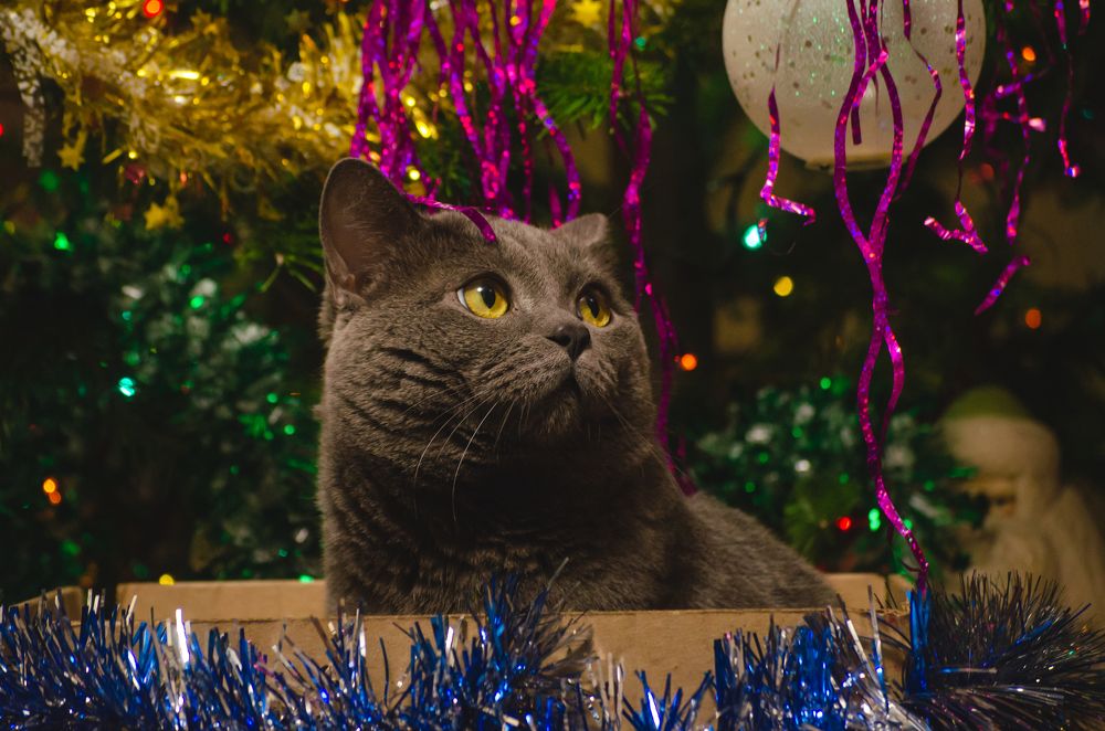 Photograph by Татьяна Герасимцева