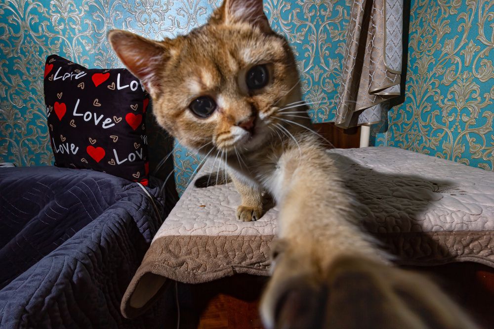 Photograph by Алексей Бирин