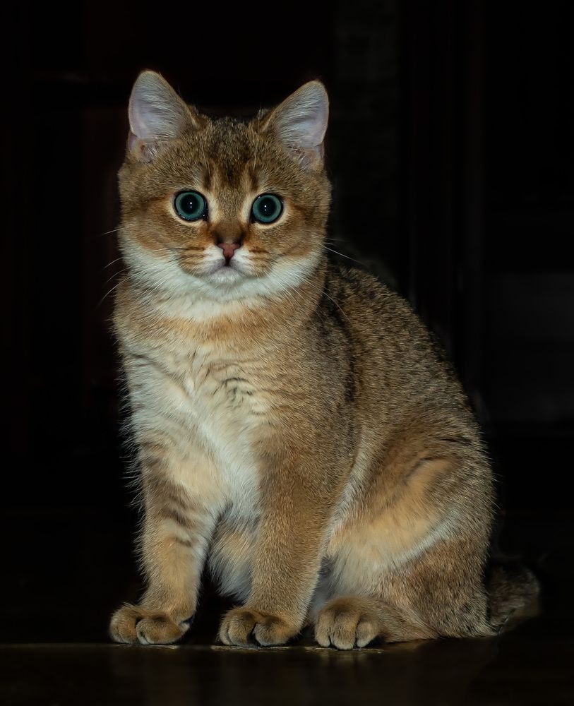 Photograph by Алексей Бирин