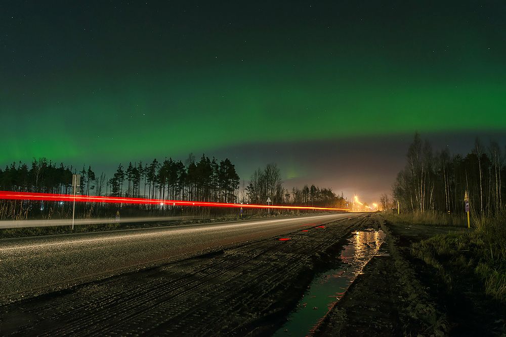 Фотография автора Мария Новоселецкая