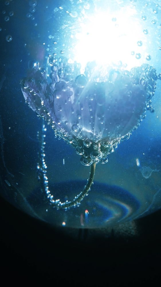 Photograph by Ольга Рыкова