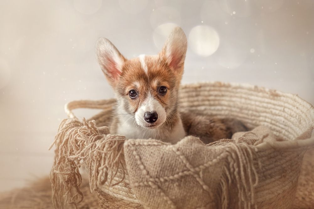 Фотография автора Рымакова Арина