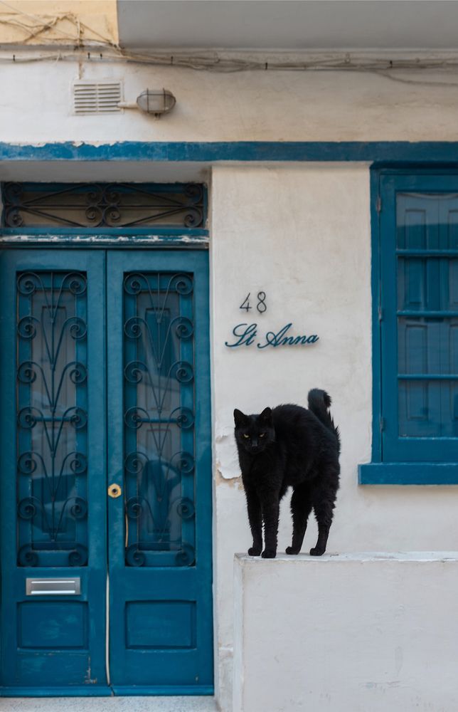 Photograph by Kseniya Trafimovich