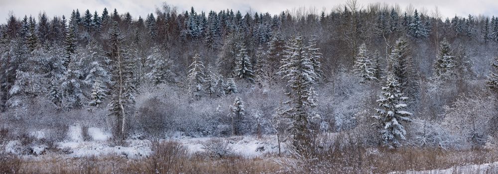 Фотография автора Татьяна Ливеровская