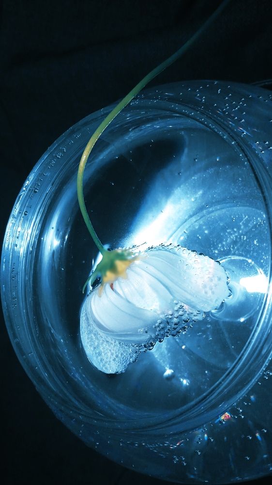 Photograph by Ольга Рыкова