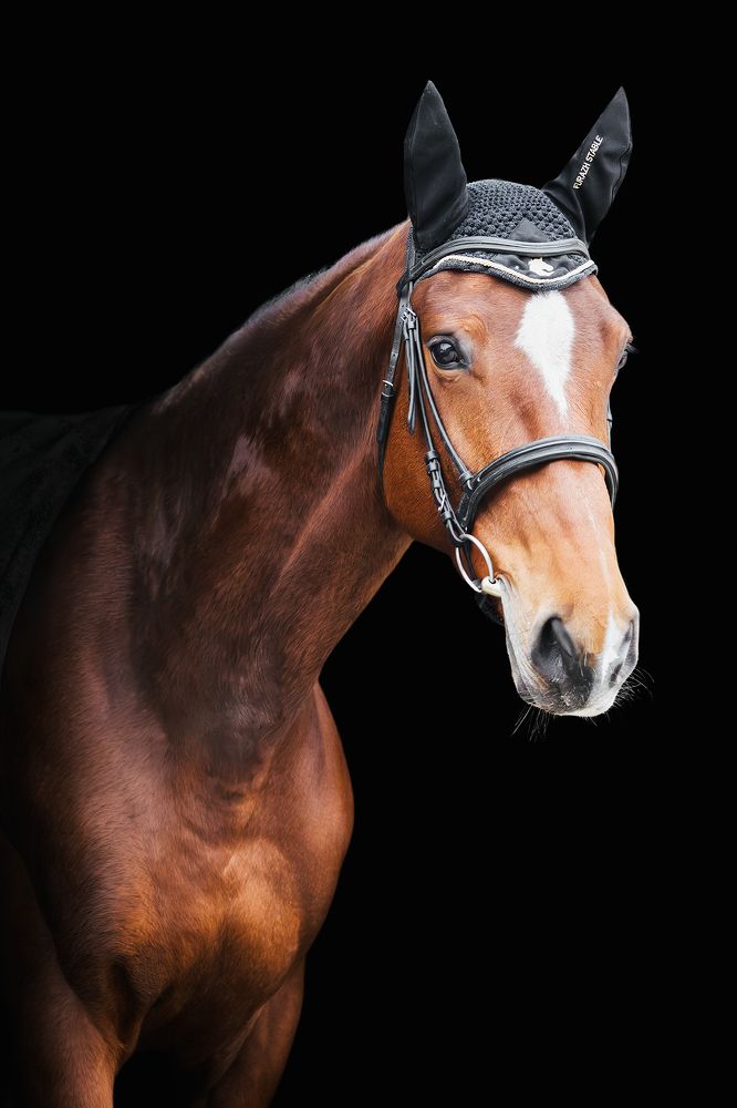 Photograph by Полина Фрольцова