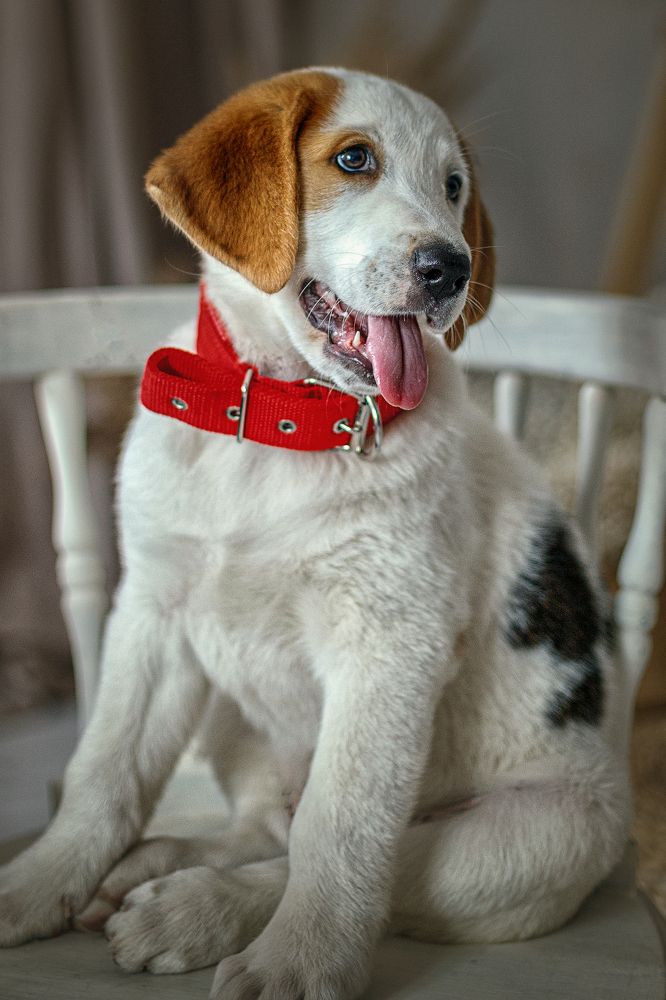 Photograph by Рымакова Арина