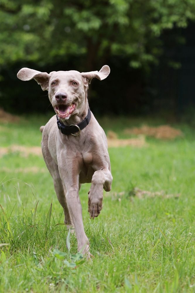 Фотография автора Елена