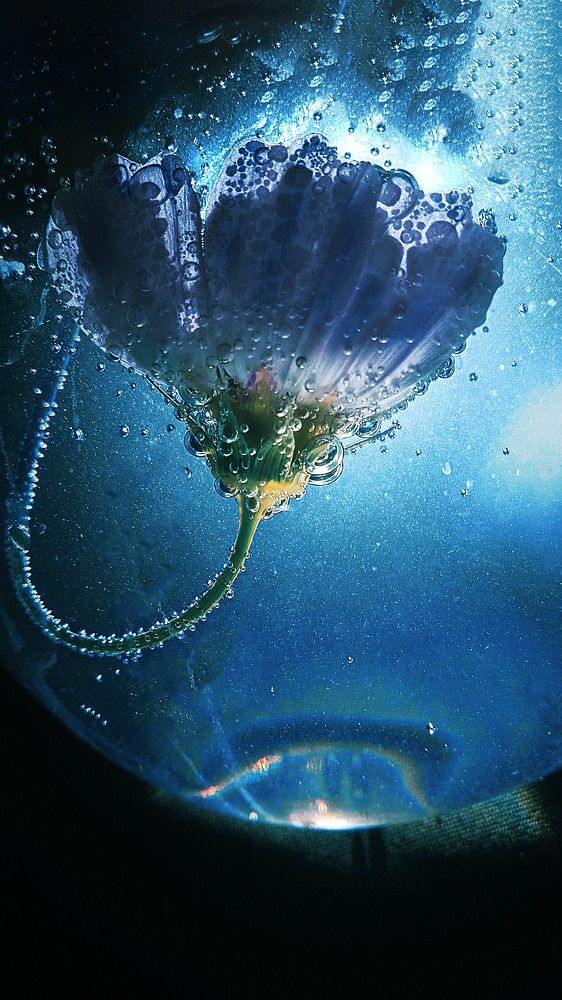 Photograph by Ольга Рыкова