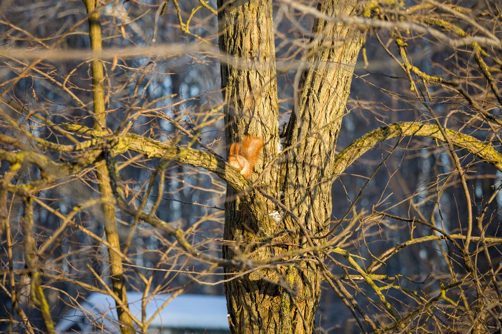 Фотография автора Иван Безрядин