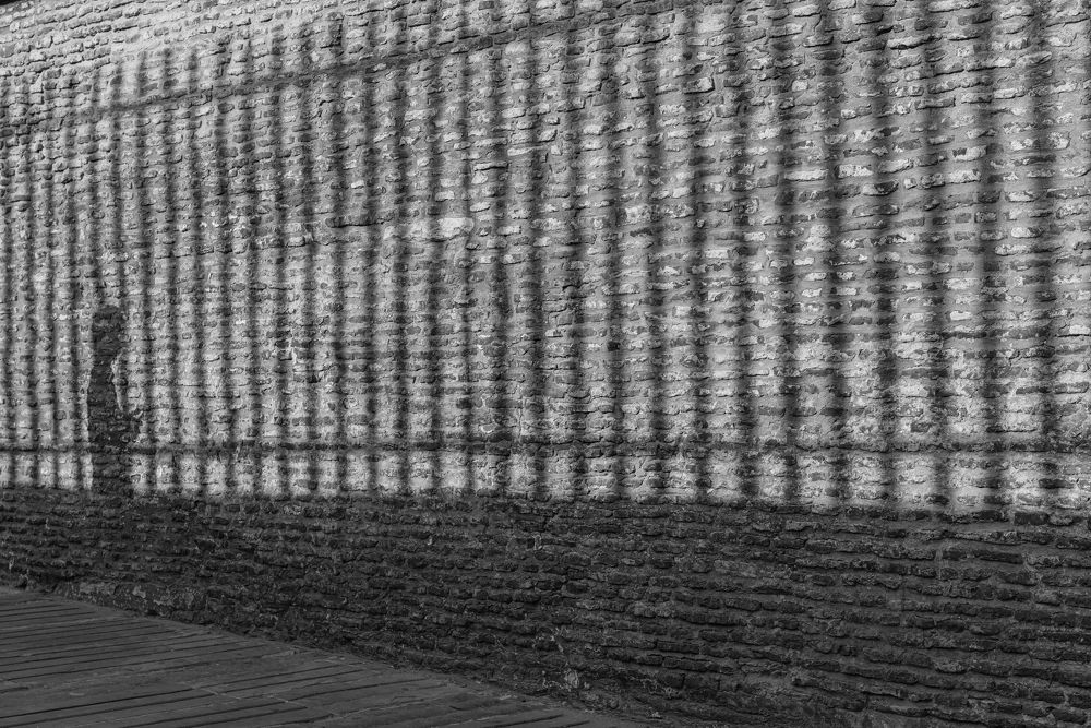 Фотография автора Ceausescu Adriana